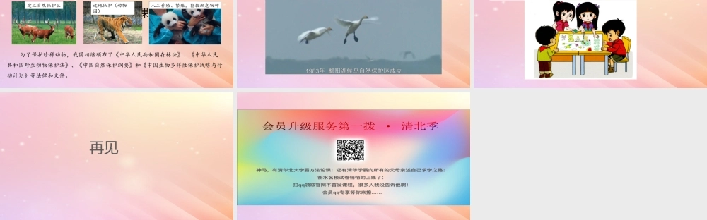 三年级科学上册 第二单元 动物的特征 5 珍稀动物课件 大象版-大象版小学三年级上册自然科学课件