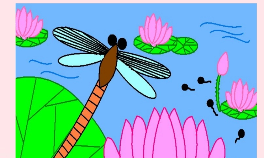 三年级信息技术 第17课《初识画图》课件2 苏科版-苏科版小学三年级全册信息技术课件