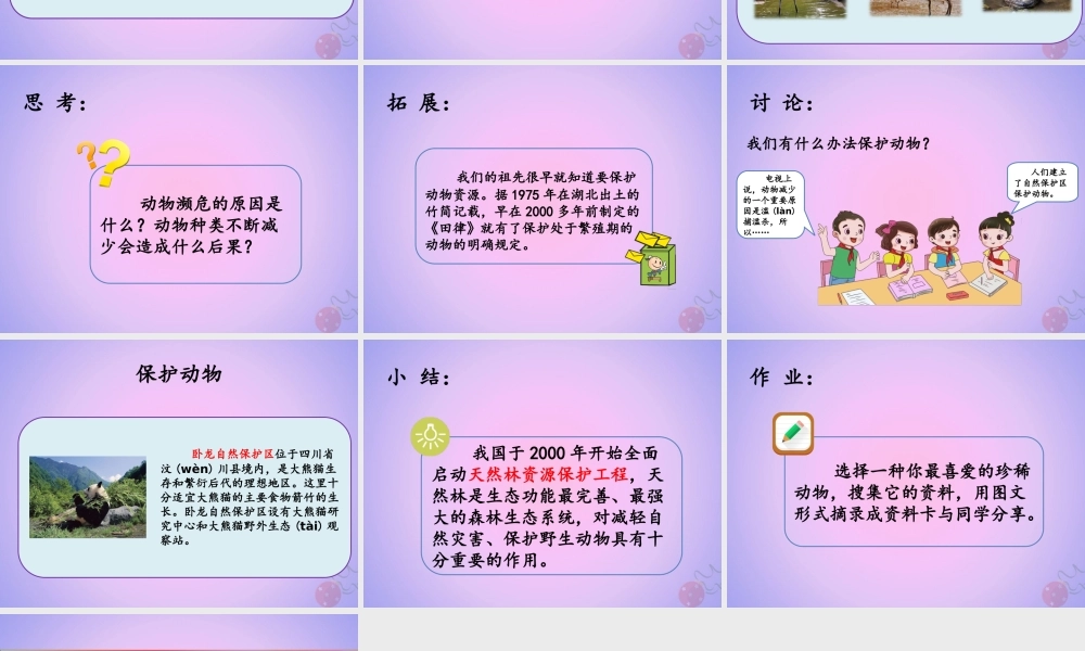 三年级科学上册 第二单元 各种各样的动物 2.5 珍稀动物课件 湘科版-人教版小学三年级上册自然科学课件