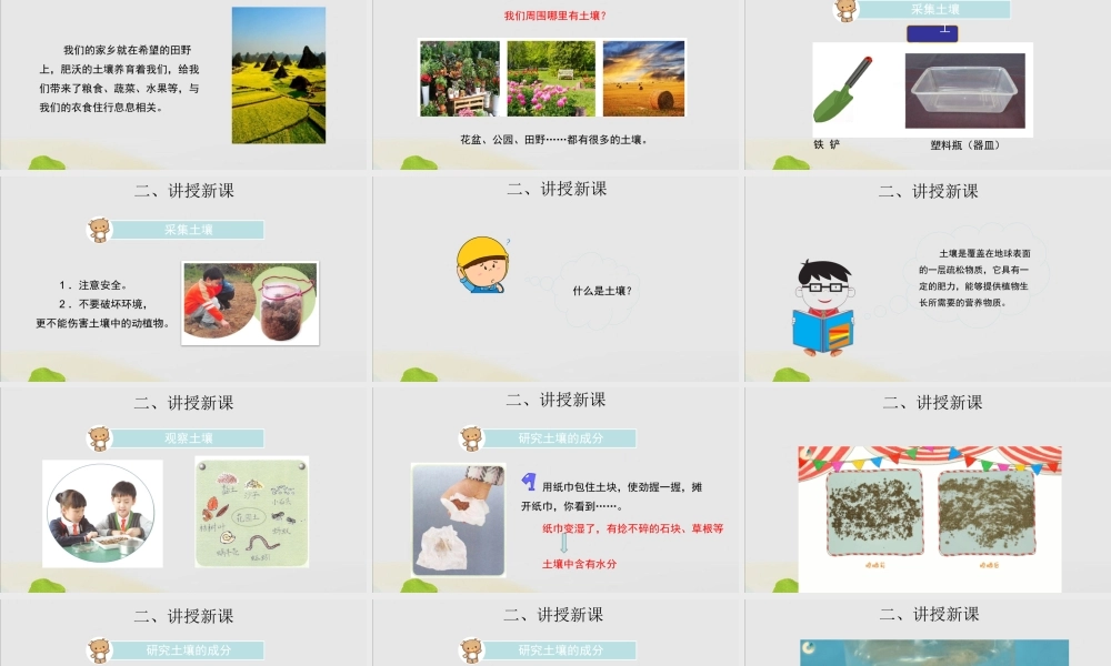 三年级科学上册 第二单元 研究土壤 4 土壤的成分课件（新版）苏教版-（新版）苏教版小学三年级上册自然科学课件