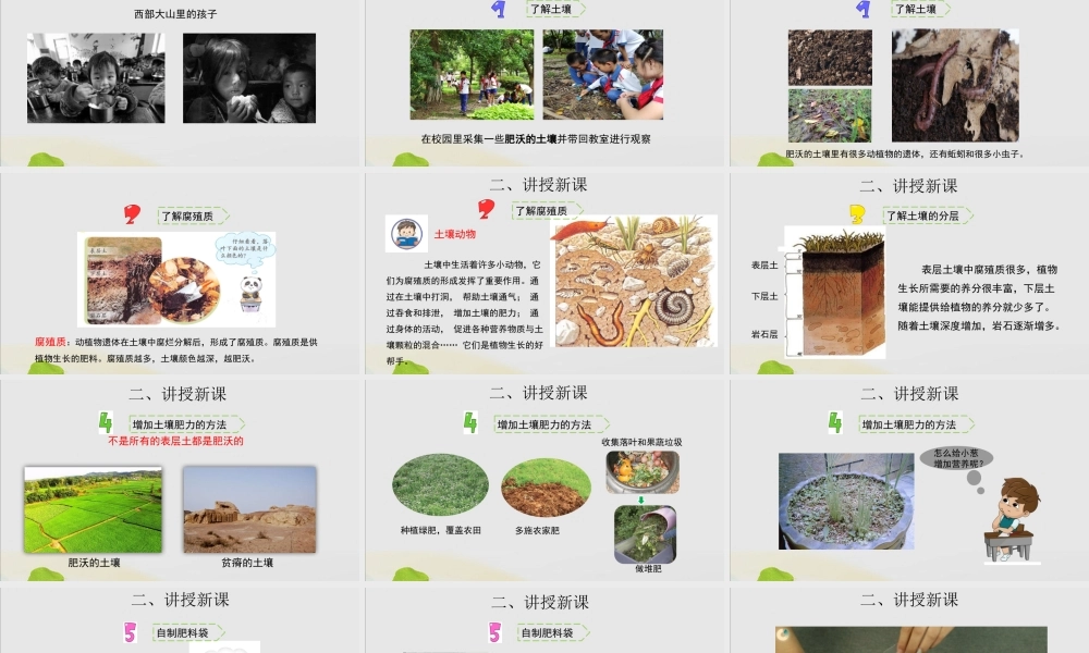 三年级科学上册 第二单元 研究土壤 6 肥沃的土壤课件（新版）苏教版-（新版）苏教版小学三年级上册自然科学课件