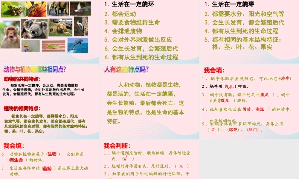三年级科学上册 2.7《动物有哪些相同特点》课件（1） 教科版-教科版小学三年级上册自然科学课件