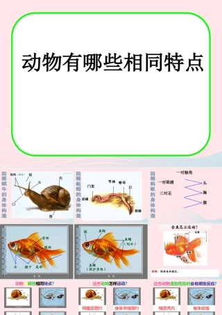三年级科学上册 2.7《动物有哪些相同特点》课件（1） 教科版-教科版小学三年级上册自然科学课件