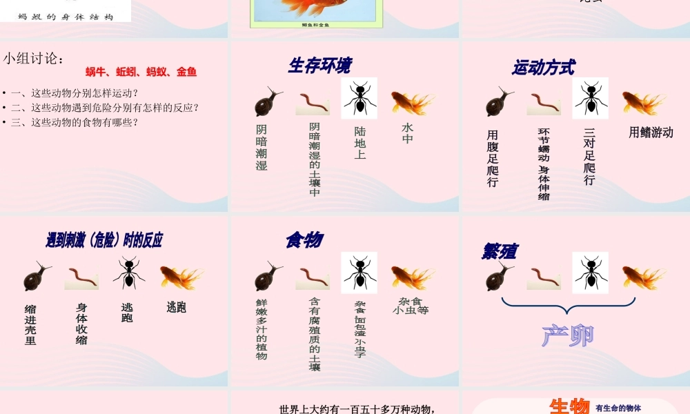 三年级科学上册 2.7《动物有哪些相同特点》课件（2） 教科版-教科版小学三年级上册自然科学课件