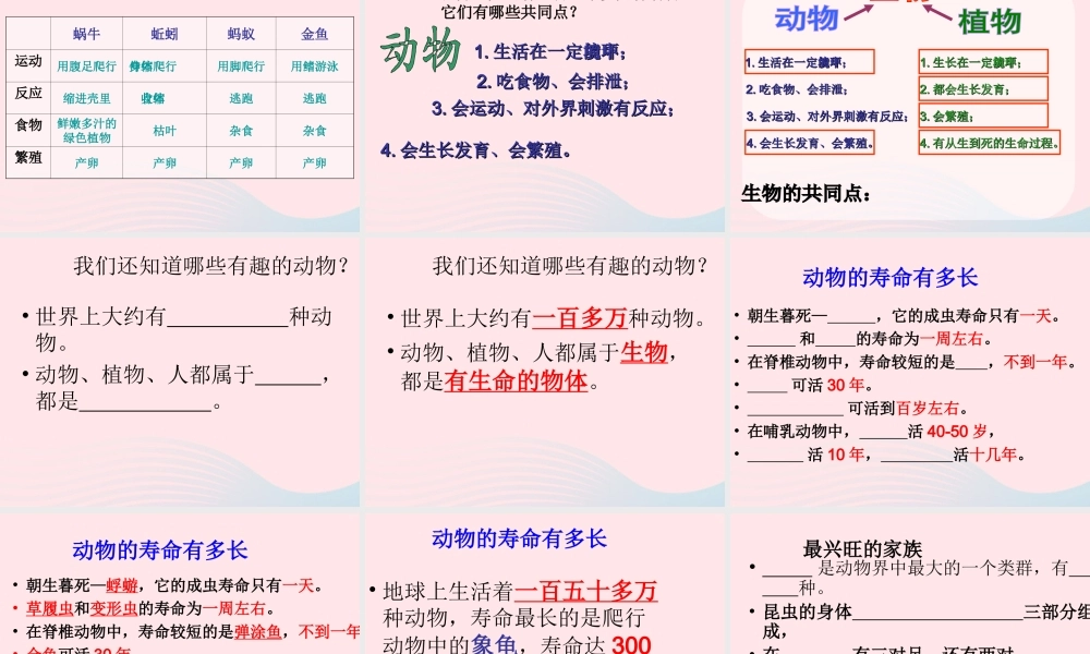 三年级科学上册 2.7《动物有哪些相同特点》课件（2） 教科版-教科版小学三年级上册自然科学课件
