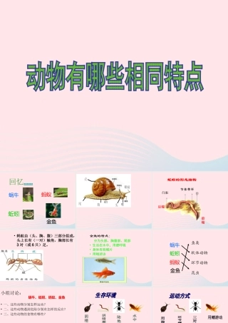 三年级科学上册 2.7《动物有哪些相同特点》课件（2） 教科版-教科版小学三年级上册自然科学课件