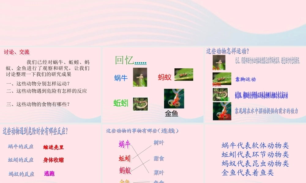 三年级科学上册 2.7《动物有哪些相同特点》课件（3） 教科版-教科版小学三年级上册自然科学课件