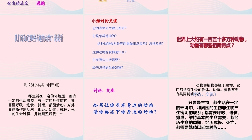 三年级科学上册 2.7《动物有哪些相同特点》课件（3） 教科版-教科版小学三年级上册自然科学课件