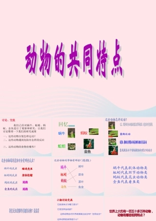 三年级科学上册 2.7《动物有哪些相同特点》课件（3） 教科版-教科版小学三年级上册自然科学课件