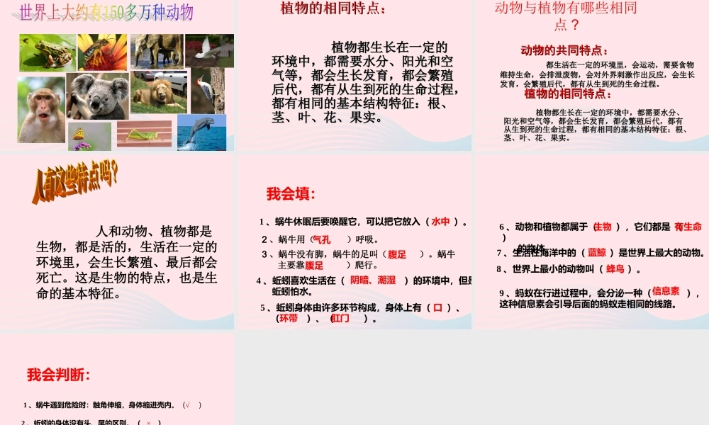 三年级科学上册 2.7《动物有哪些相同特点》课件（4） 教科版-教科版小学三年级上册自然科学课件