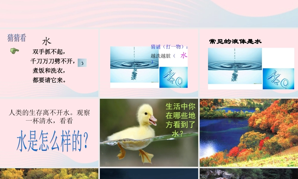 三年级科学上册 第二单元 饮用水 第8课《水是什么样的》课件（2） 鄂教版-鄂教版小学三年级上册自然科学课件