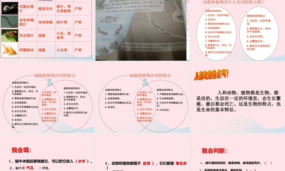 三年级科学上册 2.7《动物有哪些相同特点》课件（5） 教科版-教科版小学三年级上册自然科学课件