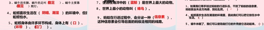 三年级科学上册 2.7《动物有哪些相同特点》课件（5） 教科版-教科版小学三年级上册自然科学课件