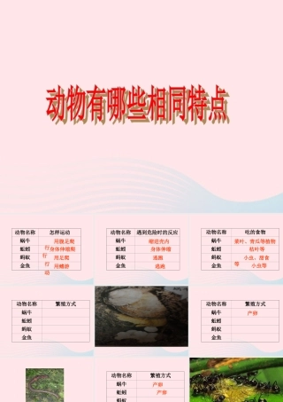 三年级科学上册 2.7《动物有哪些相同特点》课件（5） 教科版-教科版小学三年级上册自然科学课件