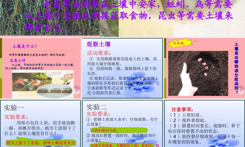 三年级科学上册 3.1 本地的土壤课件1 湘教版-湘教版小学三年级上册自然科学课件