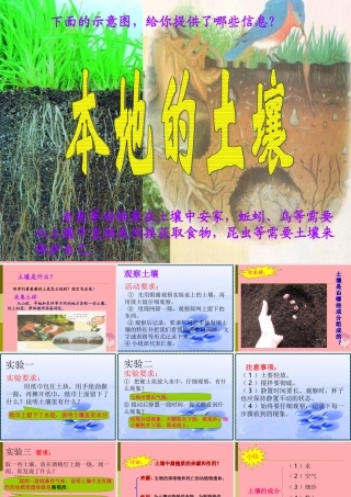 三年级科学上册 3.1 本地的土壤课件1 湘教版-湘教版小学三年级上册自然科学课件