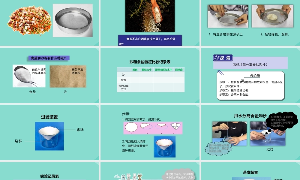 三年级科学上册 第1单元 水 7《混合与分离》课件 教科版-教科级上册自然科学课件