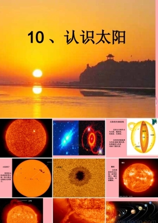 三年级科学上册 3.1 认识太阳课件2 青岛版五四制-青岛版小学三年级上册自然科学课件