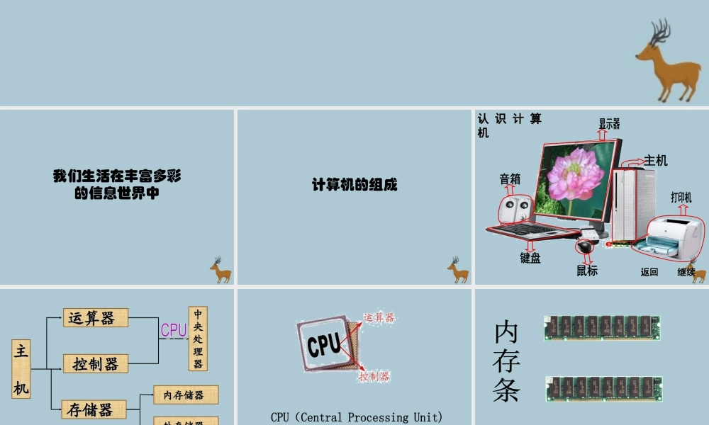 三年级信息技术上册 第1课 认识计算机 1.2 计算机的组成课件4 粤教版-粤教版小学三年级上册信息技术课件