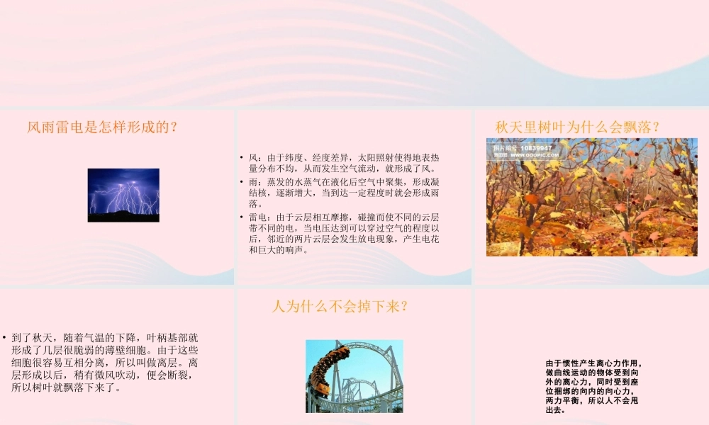 三年级科学上册 第1课《亲历科学》课件（2） 冀教版-冀教版小学三年级上册自然科学课件