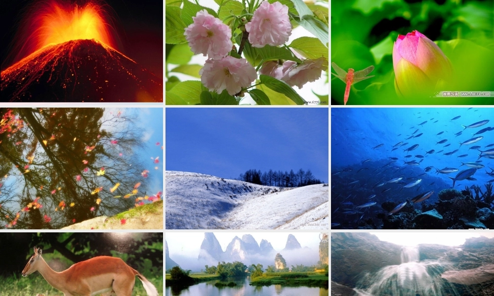 三年级科学上册 第1课《亲历科学》课件（3） 冀教版-冀教版小学三年级上册自然科学课件