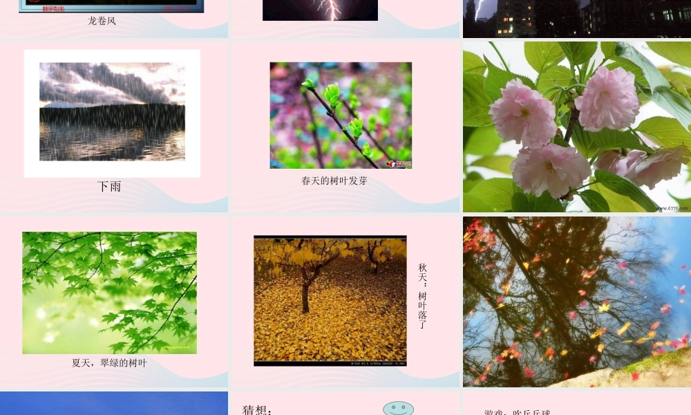 三年级科学上册 第1课《亲历科学》课件（4） 冀教版-冀教版小学三年级上册自然科学课件