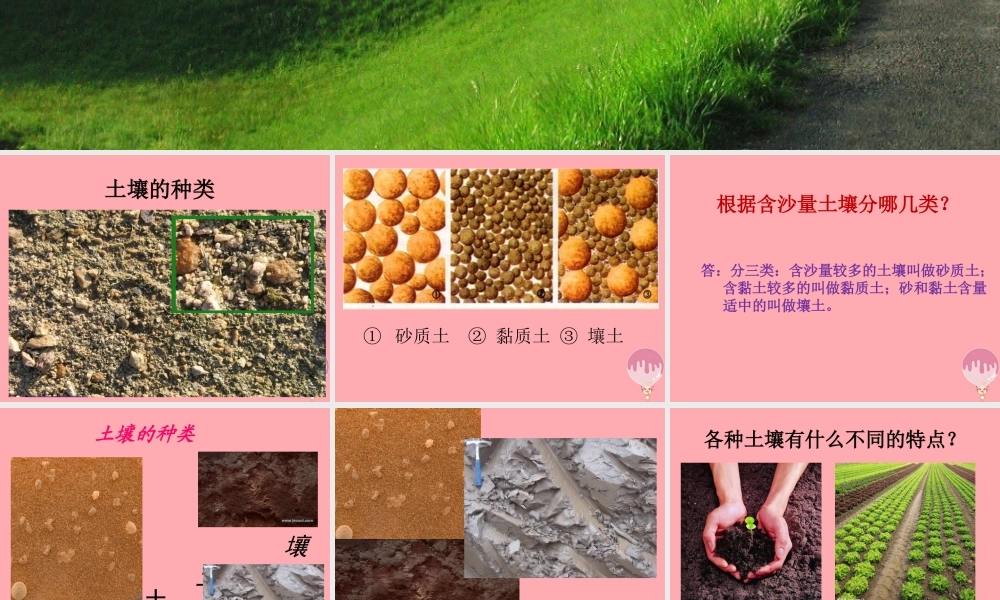 三年级科学上册 3.2 土壤的种类课件1 湘教版-湘教版小学三年级上册自然科学课件