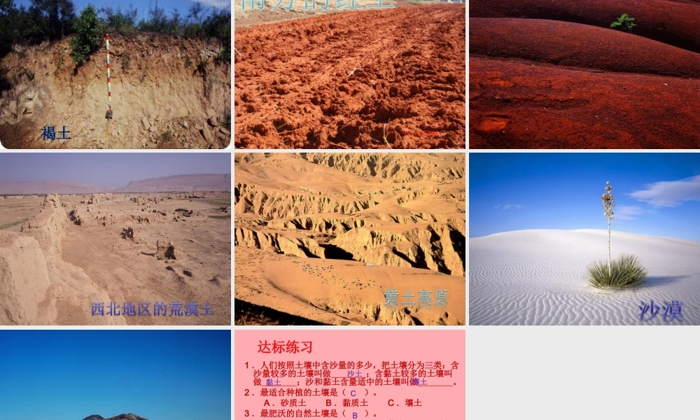 三年级科学上册 3.2 土壤的种类课件1 湘教版-湘教版小学三年级上册自然科学课件