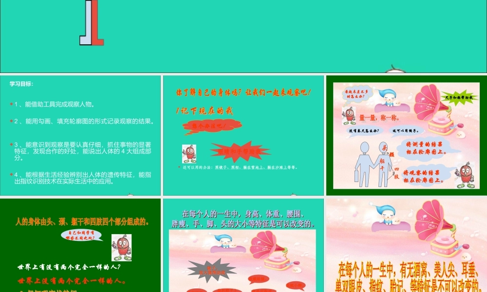 三年级科学上册 第2课《认识自己》课件（1） 冀教版-冀教版小学三年级上册自然科学课件