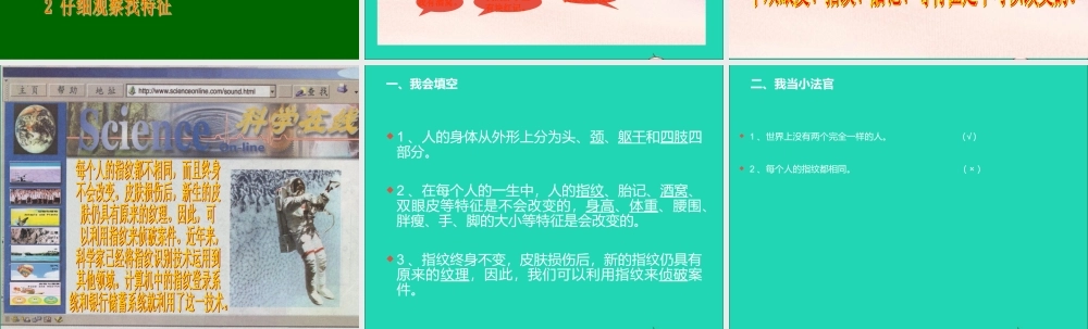 三年级科学上册 第2课《认识自己》课件（1） 冀教版-冀教版小学三年级上册自然科学课件