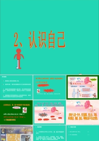 三年级科学上册 第2课《认识自己》课件（1） 冀教版-冀教版小学三年级上册自然科学课件