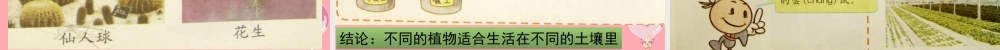 三年级科学上册 3.2 土壤的种类课件2 湘教版-湘教版小学三年级上册自然科学课件