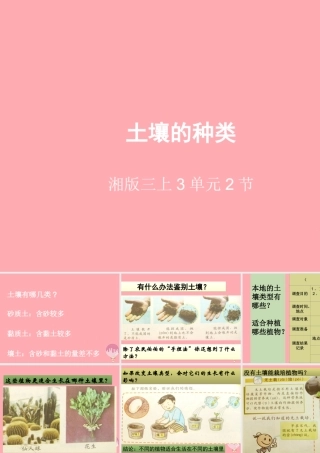 三年级科学上册 3.2 土壤的种类课件2 湘教版-湘教版小学三年级上册自然科学课件