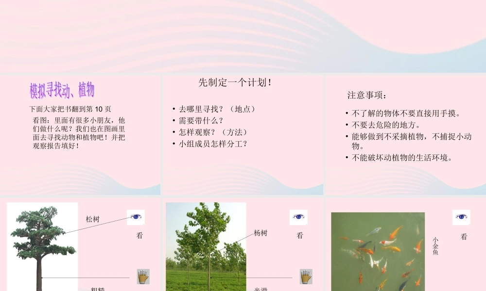 三年级科学上册 第3课《寻找动物和植物》课件（1） 冀教版-冀教版小学三年级上册自然科学课件