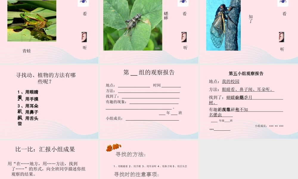 三年级科学上册 第3课《寻找动物和植物》课件（1） 冀教版-冀教版小学三年级上册自然科学课件