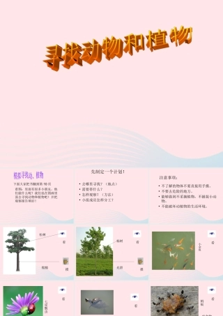 三年级科学上册 第3课《寻找动物和植物》课件（1） 冀教版-冀教版小学三年级上册自然科学课件