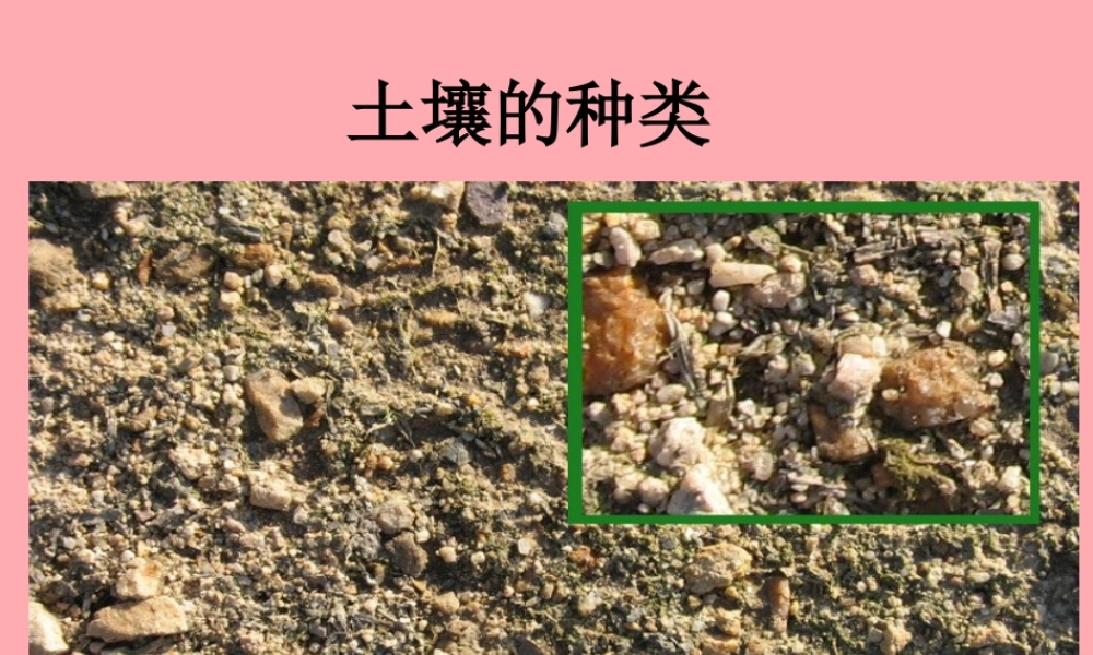 三年级科学上册 3.2 土壤的种类课件3 湘教版-湘教版小学三年级上册自然科学课件