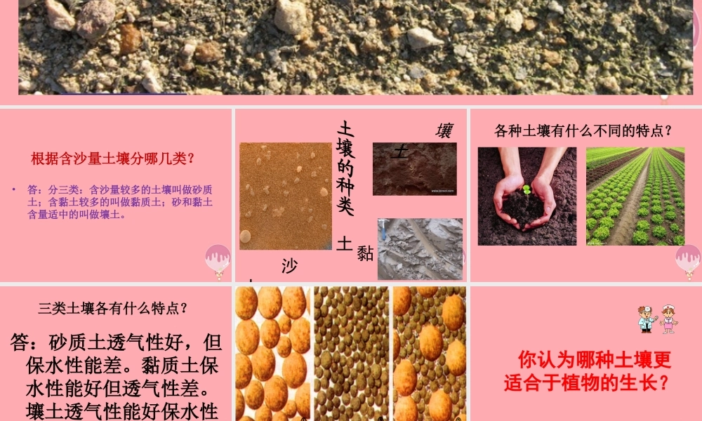 三年级科学上册 3.2 土壤的种类课件3 湘教版-湘教版小学三年级上册自然科学课件