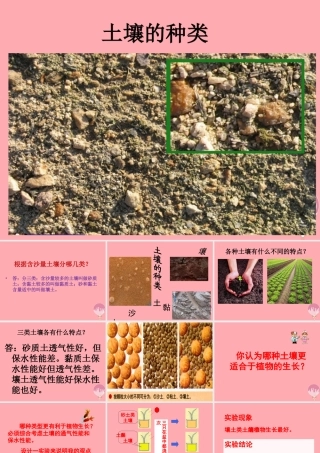 三年级科学上册 3.2 土壤的种类课件3 湘教版-湘教版小学三年级上册自然科学课件