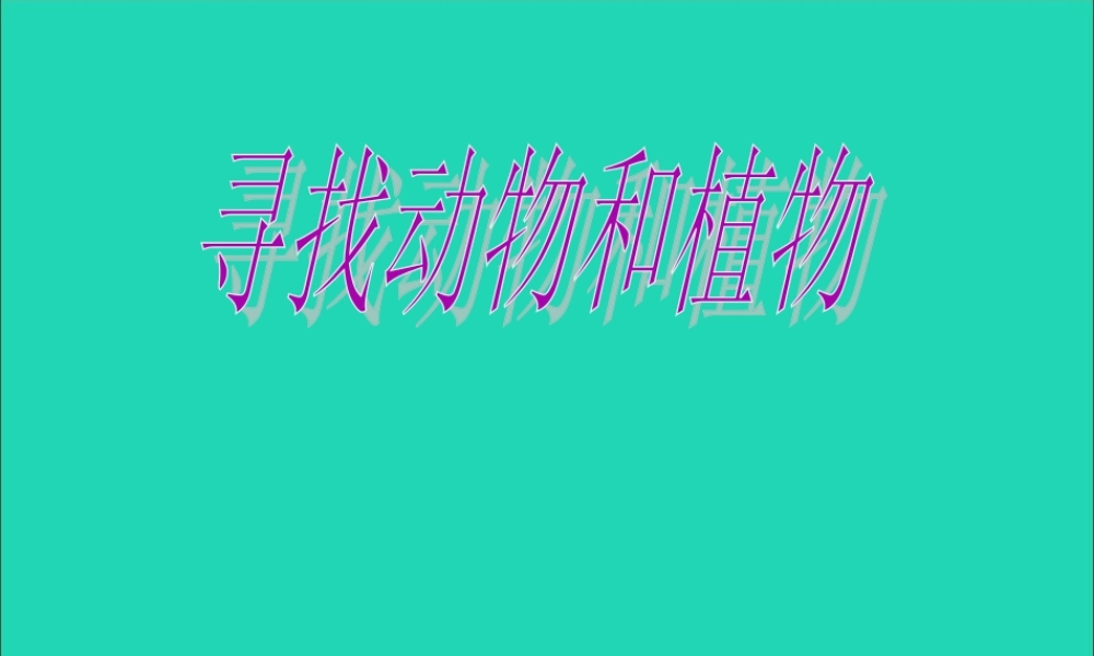 三年级科学上册 第3课《寻找动物和植物》课件（3） 冀教版-冀教版小学三年级上册自然科学课件