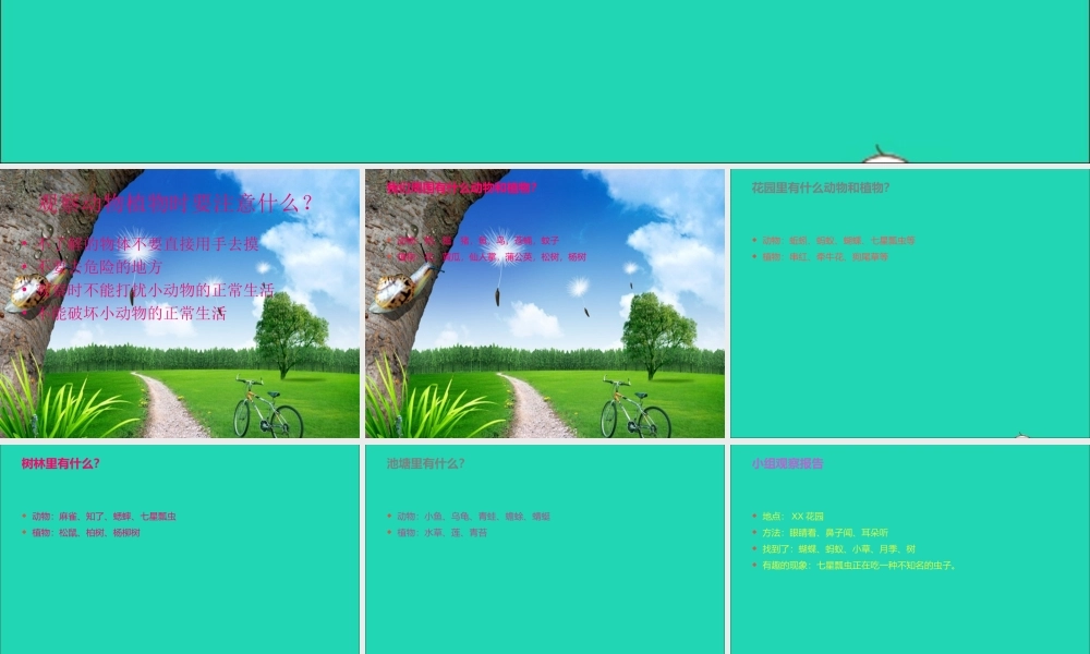 三年级科学上册 第3课《寻找动物和植物》课件（3） 冀教版-冀教版小学三年级上册自然科学课件