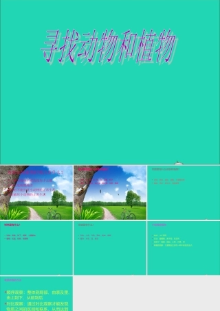 三年级科学上册 第3课《寻找动物和植物》课件（3） 冀教版-冀教版小学三年级上册自然科学课件