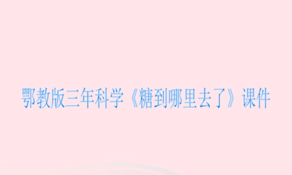 三年级科学上册 第二单元 饮用水 第13课《糖到哪里去了》课件（1） 鄂教版-鄂教版小学三年级上册自然科学课件