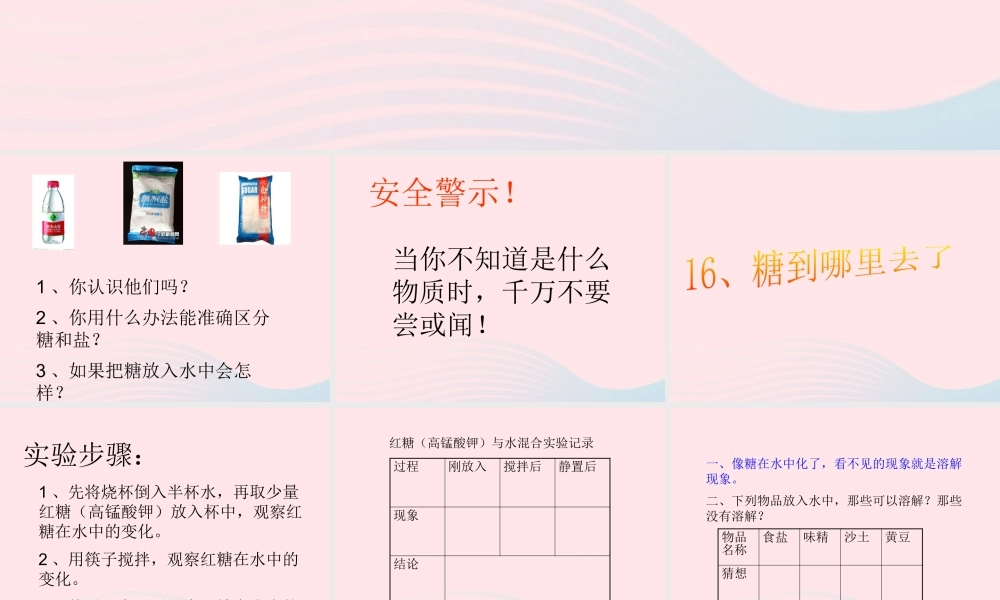 三年级科学上册 第二单元 饮用水 第13课《糖到哪里去了》课件（1） 鄂教版-鄂教版小学三年级上册自然科学课件