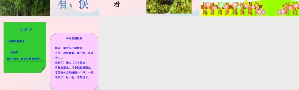 三年级科学上册 第3课《寻找动物和植物》课件（4） 冀教版-冀教版小学三年级上册自然科学课件