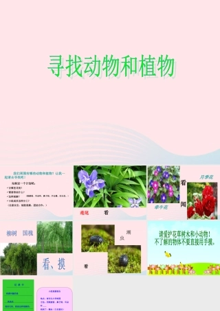 三年级科学上册 第3课《寻找动物和植物》课件（4） 冀教版-冀教版小学三年级上册自然科学课件