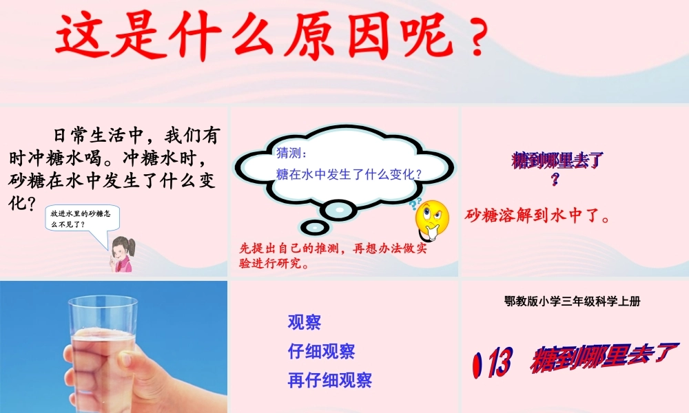 三年级科学上册 第二单元 饮用水 第13课《糖到哪里去了》课件（2） 鄂教版-鄂教版小学三年级上册自然科学课件