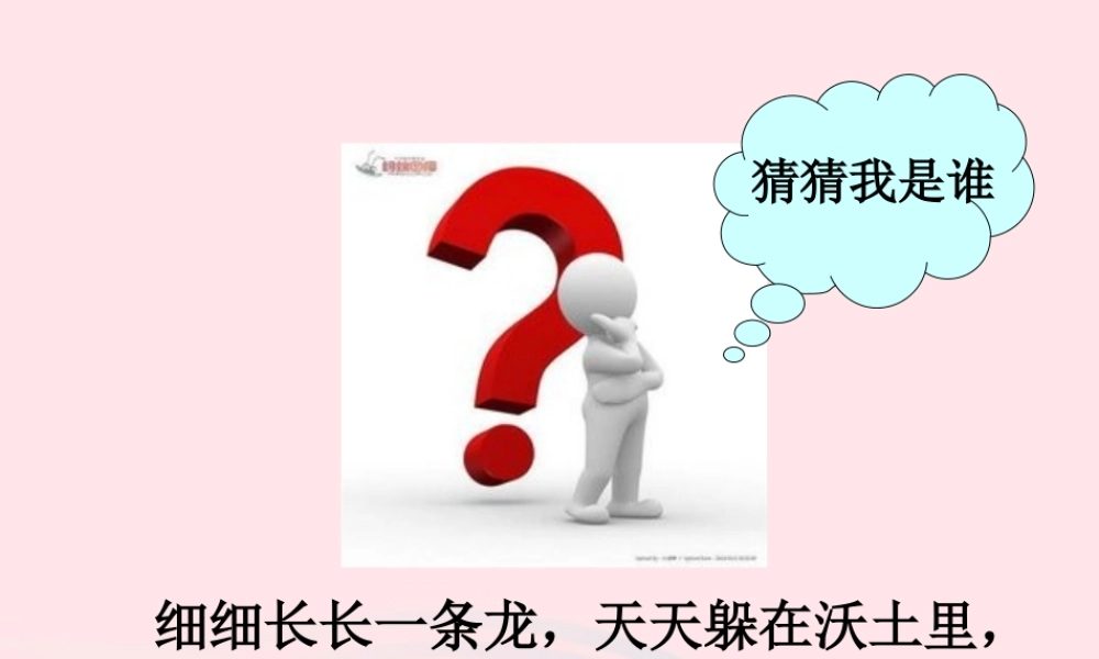 三年级科学上册 第4课《蚯蚓》课件（1） 冀教版-冀教版小学三年级上册自然科学课件