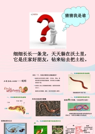 三年级科学上册 第4课《蚯蚓》课件（1） 冀教版-冀教版小学三年级上册自然科学课件