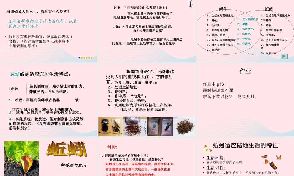 三年级科学上册 第4课《蚯蚓》课件（2） 冀教版-冀教版小学三年级上册自然科学课件